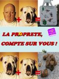 Prop'Art2009_CaninCompte_v1