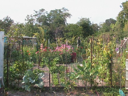 Jardins ouvriers, mai 2008